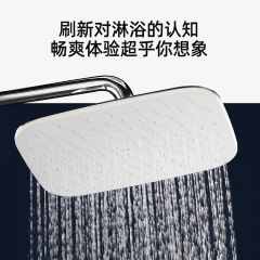 摩恩(MOEN)淋浴花洒套装家用洗澡喷头淋浴器浴室淋雨喷头套装卫浴花洒